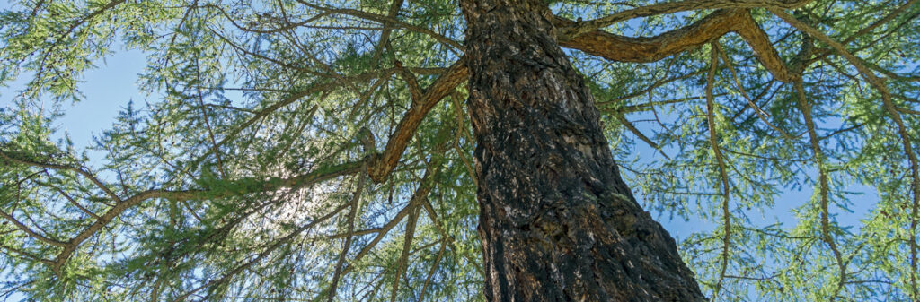 Gedanken zu Themen wie Resilienz, Achtsamkeit